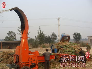 搶抓農時促轉化，市畜牧局多措并舉推廣秸稈青貯飼料助力畜牧漁業降本增效