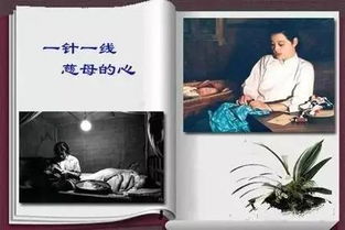 農(nóng)村嫂子睡不著,既然不停的要...太開放了