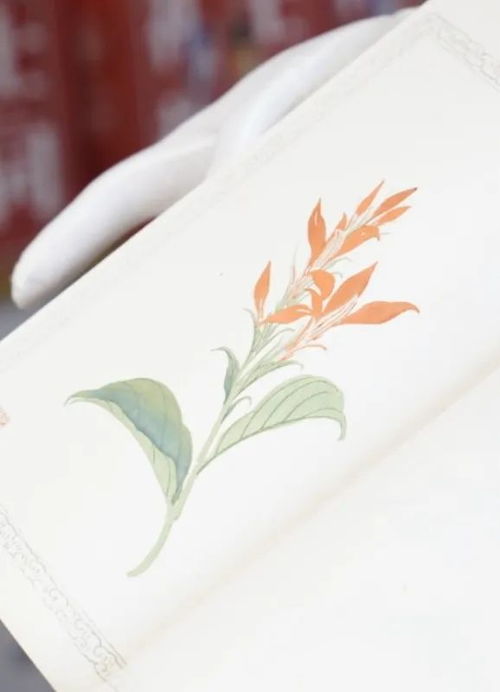 舊書新知傳習(xí)館 東城文藝 品牌空間 1