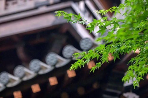 人物︱高大的龍床上,躺著他的尸體,和權力 李世民